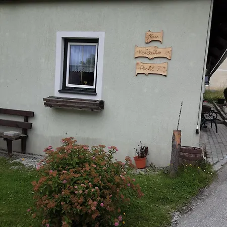 Hausveronika *